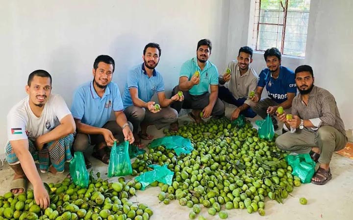 চবিতে গাছ থেকে আম পেড়ে রুমে পৌঁছে দিলেন হল সংসদ